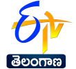 Etv Telugu channel logo
